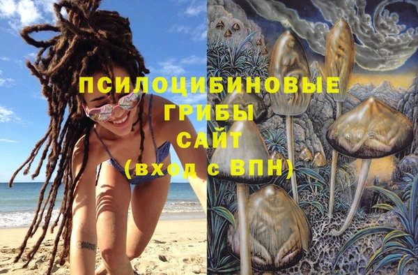 2c-b Магадан
