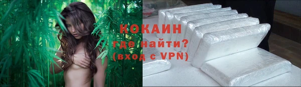мяу мяу мука Магас