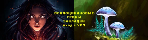 2c-b Магадан